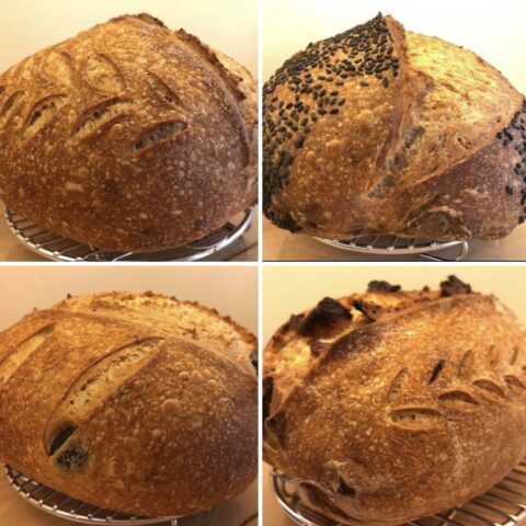 Sourdough Loaves